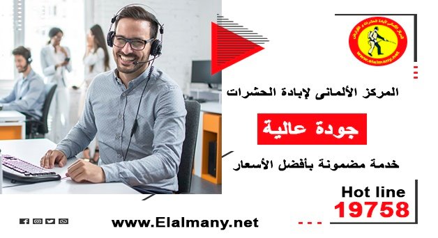 التخلص من العنكبوت في البيت